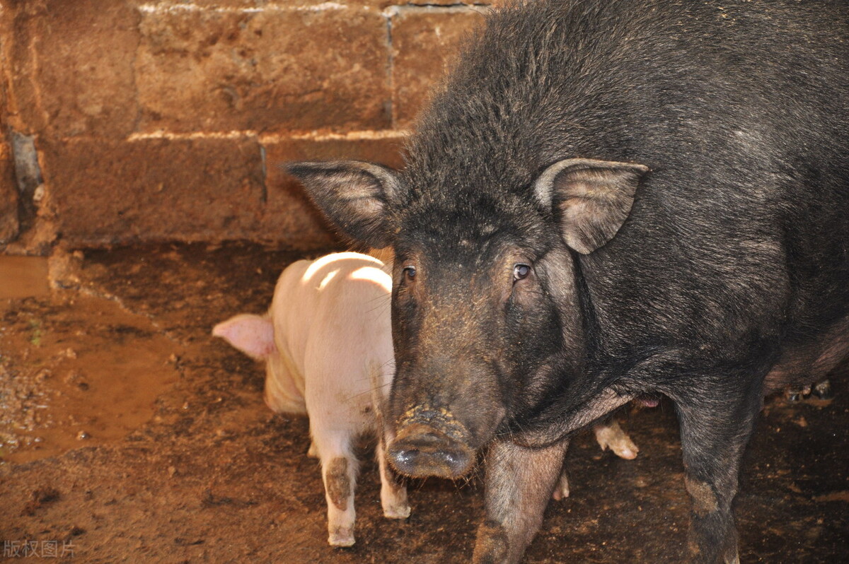 南通2024年第一季度招商项目,南通市项目可行