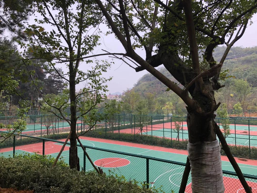 8字头带地暖，500米内山水双公园，恒大献上一曲“惊雷”