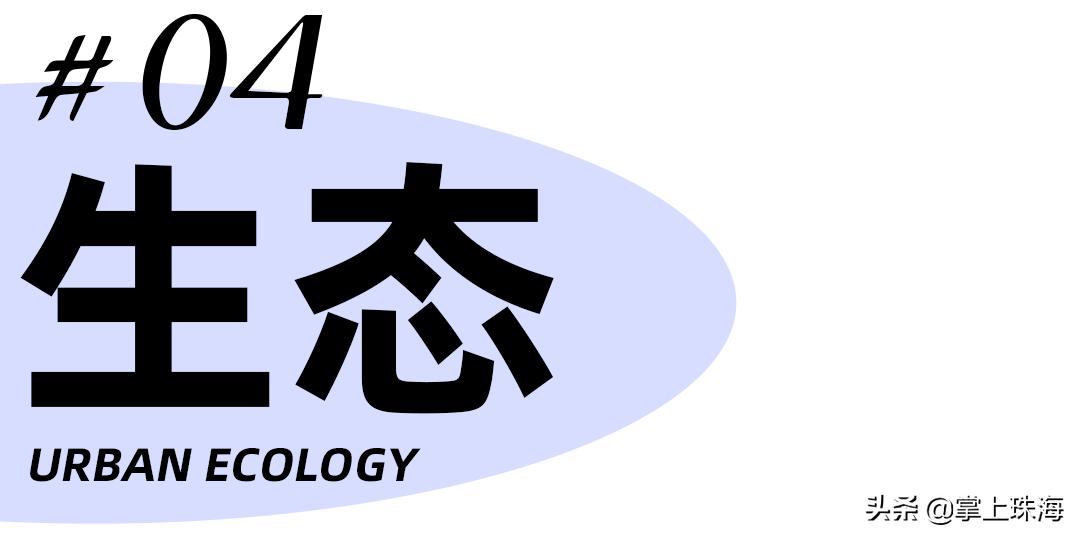 分享一张20年前的照片珠海之旅,回忆以前去过的珠海照片