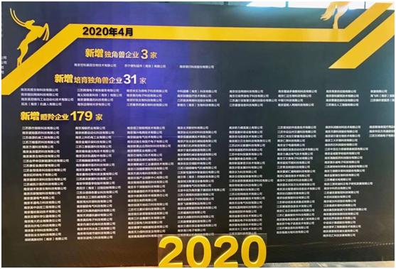 【“瞪羚”风采】南京新蓝摩显示技术有限公司：自主研发，品质为上，争当行业领跑