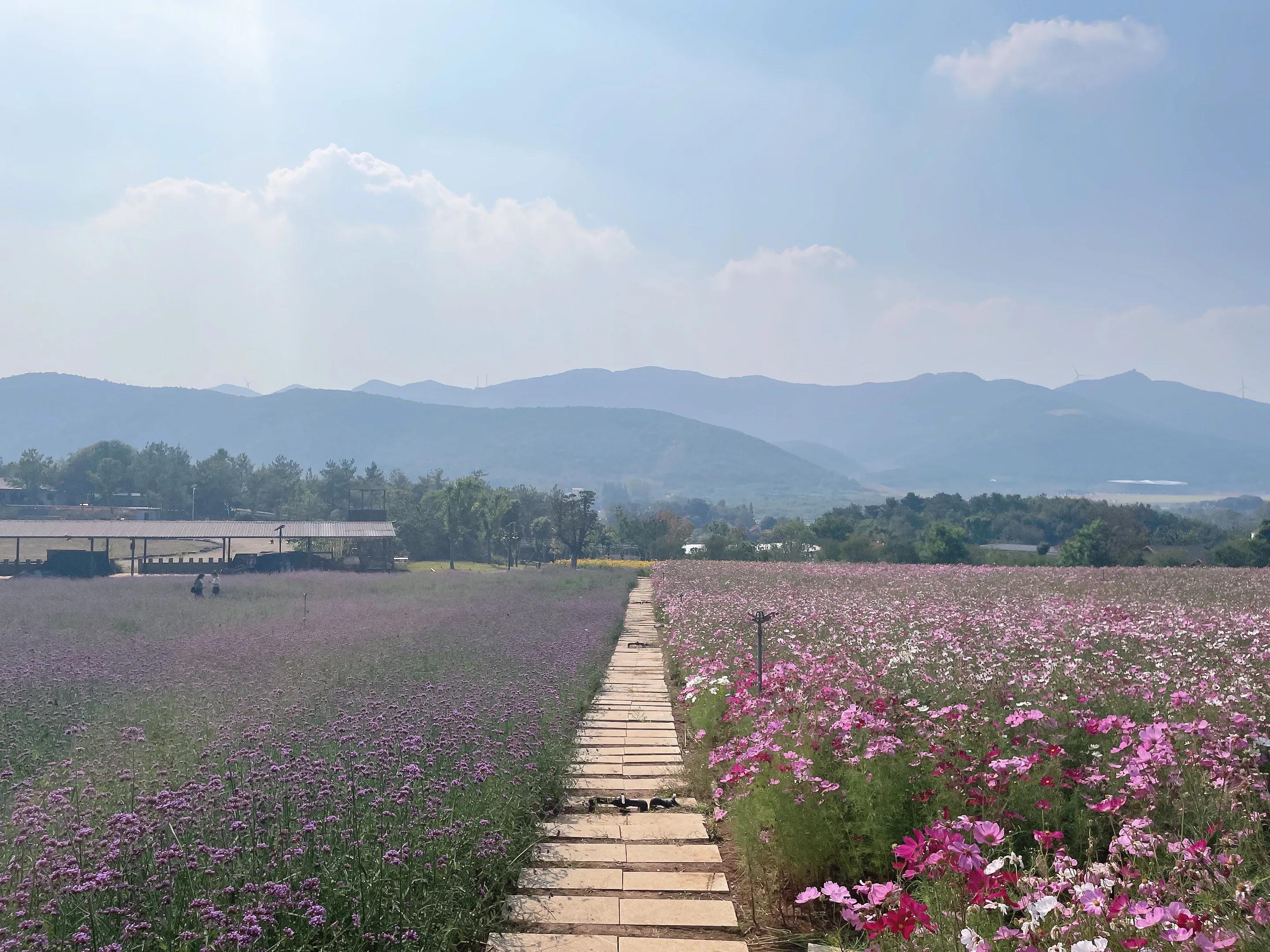 荆门圣境山鹿岛,荆门圣境山风景区攻略
