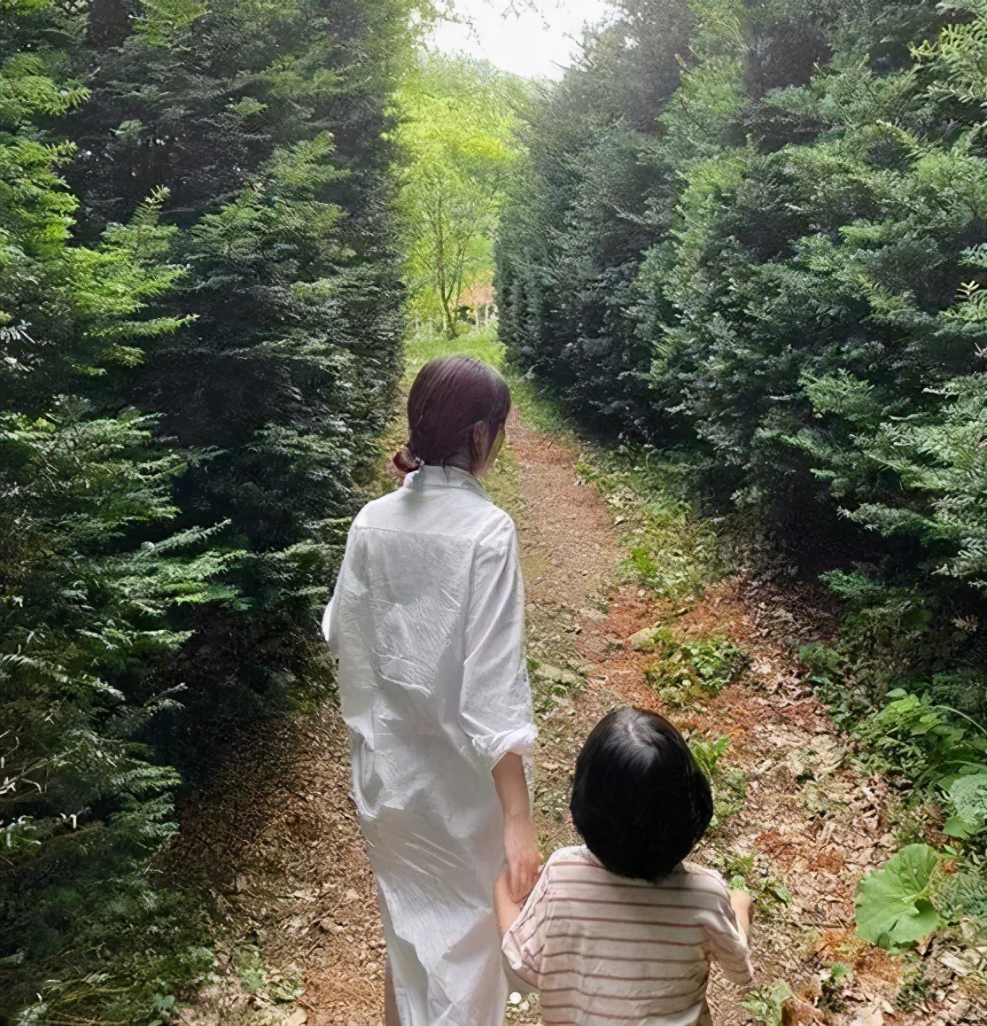 韩国主妇治愈生活,韩国主妇带着婴儿做家务