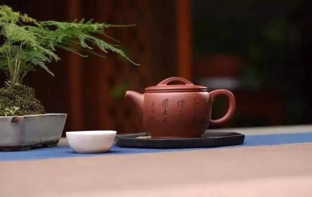 六大茶系品鉴,六大茶系茶的味道不同