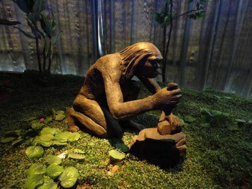 为什么动物有体毛也没有体毛,人类真的是奇怪的动物吗