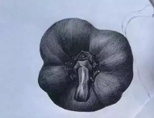 素描彩铅蔬菜画,蔬菜素描画法步骤图