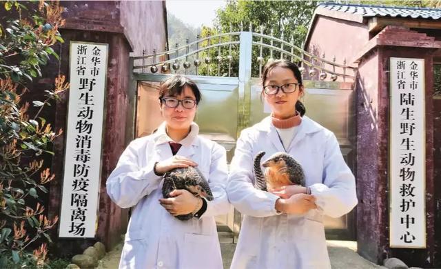 146万人关心“北京后半夜的秘密”,那是文字的魅力,4月优质长文榜单出炉