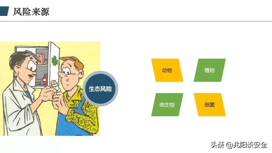 财务风险管理ppt,风险管理ppt怎么做