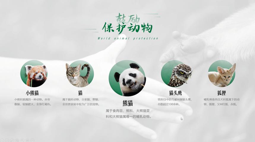 ppt排版设计技巧ppt制作培训教程,ppt多图经典案例排版