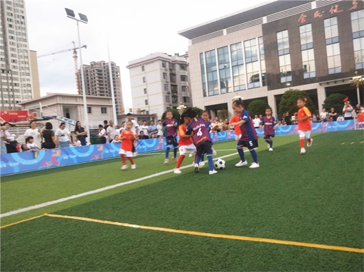 全国足球特色幼儿园活动指南,足球特色幼儿园有哪些活动