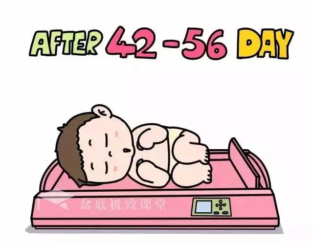 42天产后新生儿复查都查什么,42天产后复查都查什么空腹吗