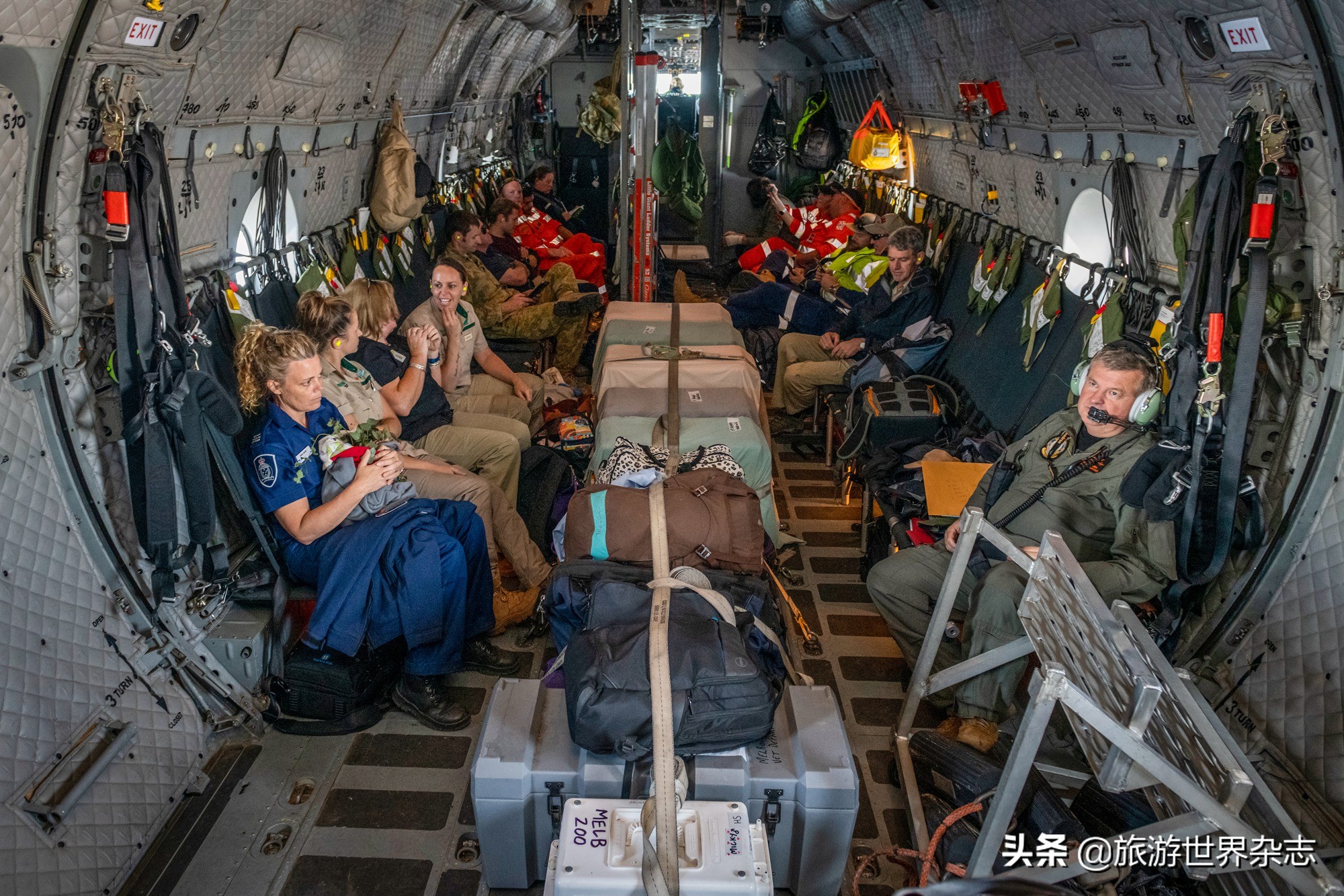 澳大利亚火灾烧伤的考拉,澳大利亚考拉烧伤