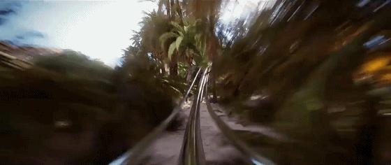 沙特建设沙漠公园,沙特5000亿美元沙漠造新城现状