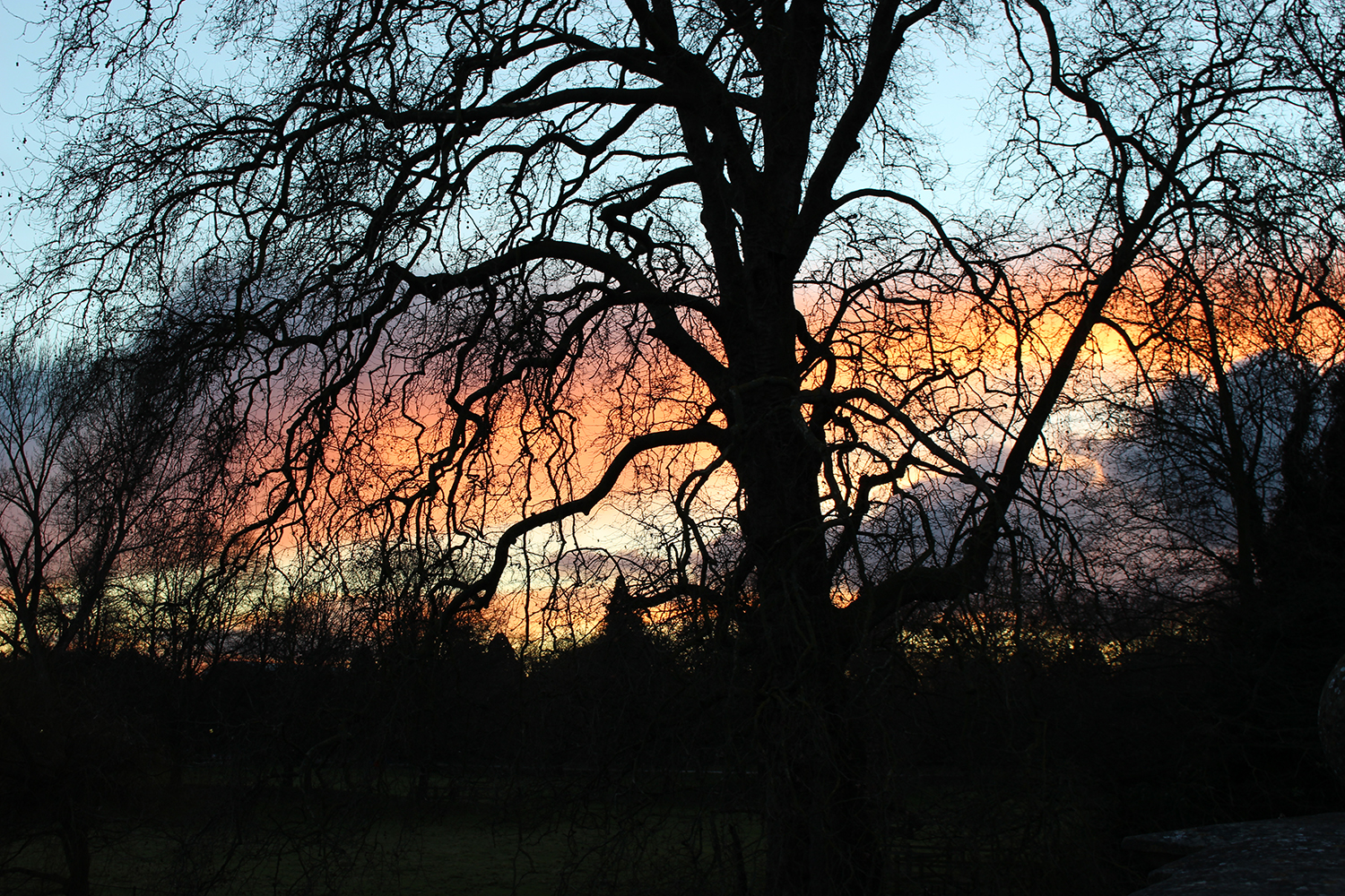 除了留学该怎么去英国,去英国留学读预科的好处
