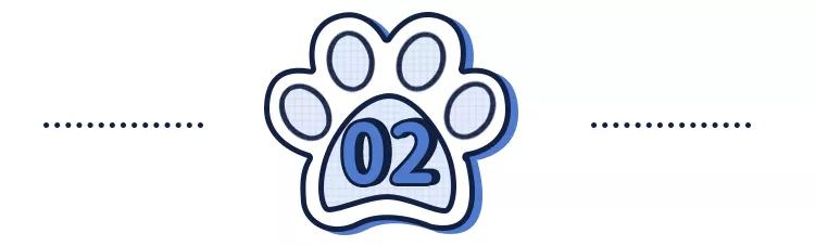 狗吃了柚子会怎样,狗吃柚子吐了