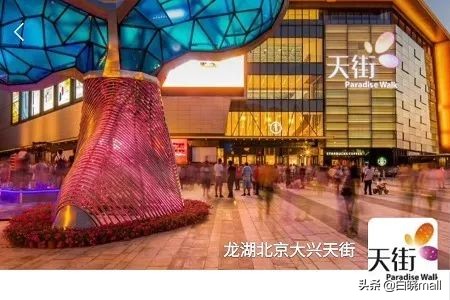 餐饮私域流量十大运营方案,房地产如何打造私域流量