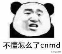 货代都做哪些工作,货代从事的工作有哪些