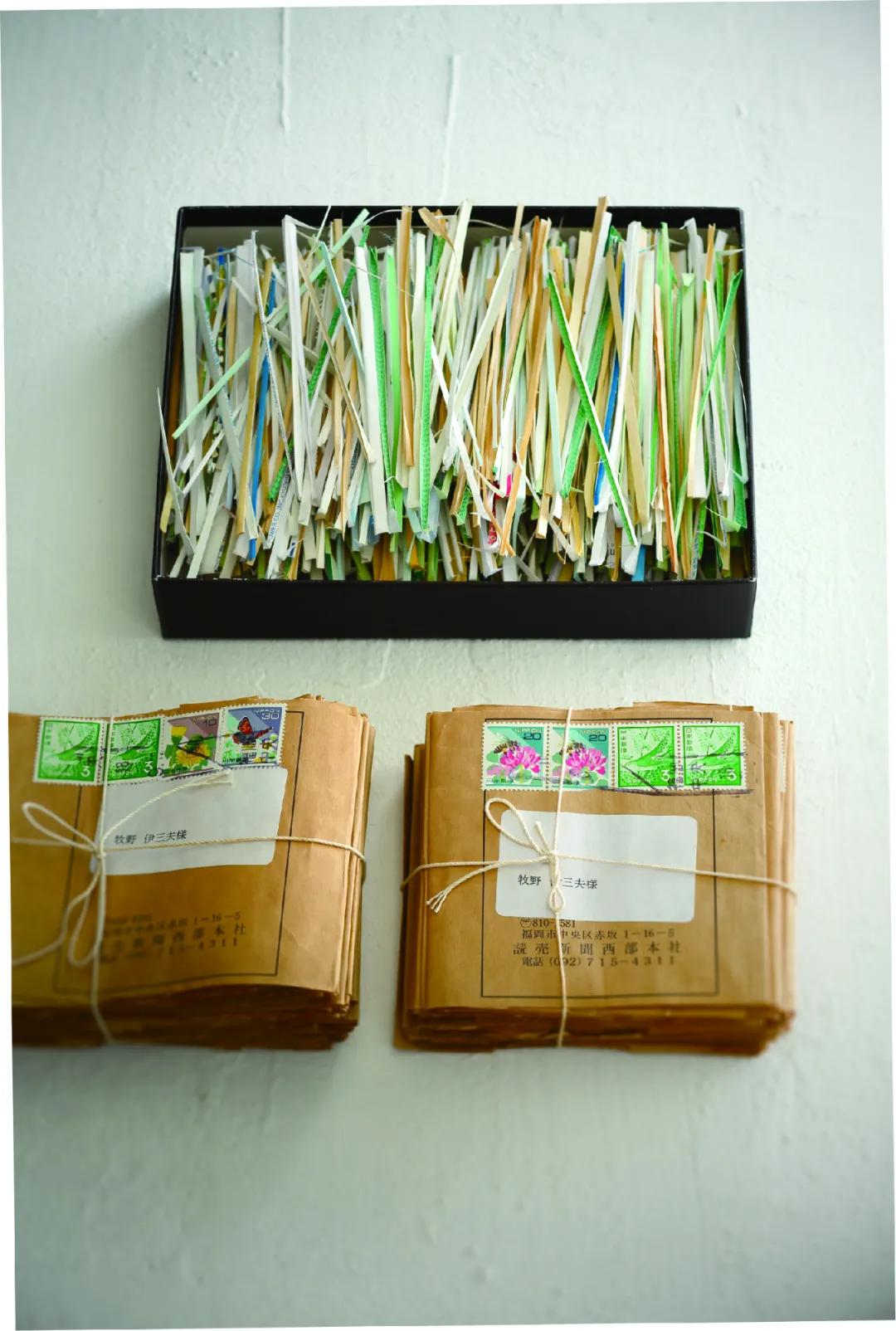 “请给我看看你最喜欢的纸”