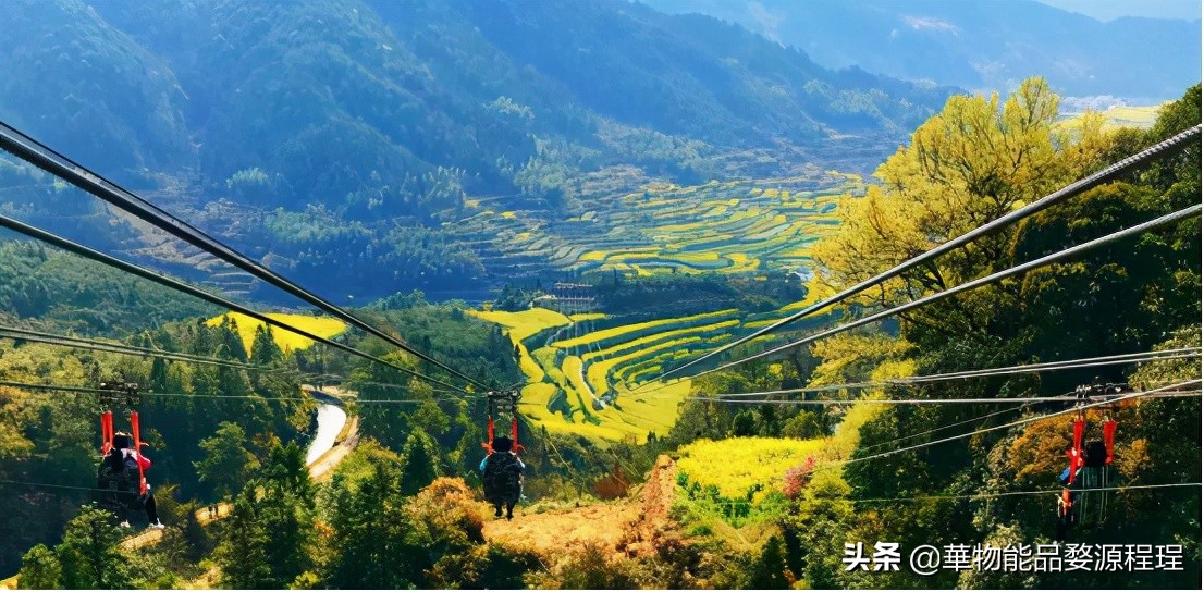 婺源这片仙境般的油菜花田已上线！超级美腻！赶紧约起来