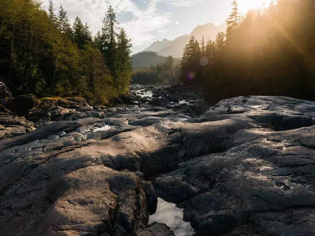 哈苏h6d100c顶级单反相机多少钱,哈苏h6d100c一亿像素