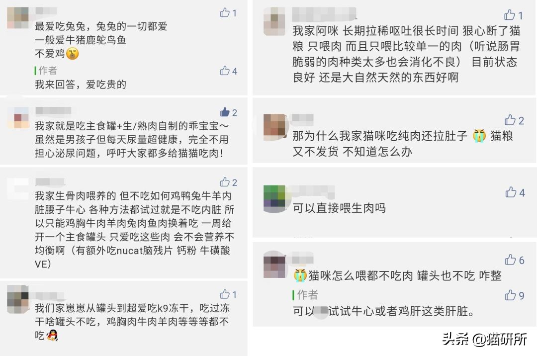 生肉如何处理喂猫,幼猫喂生肉的正确方法