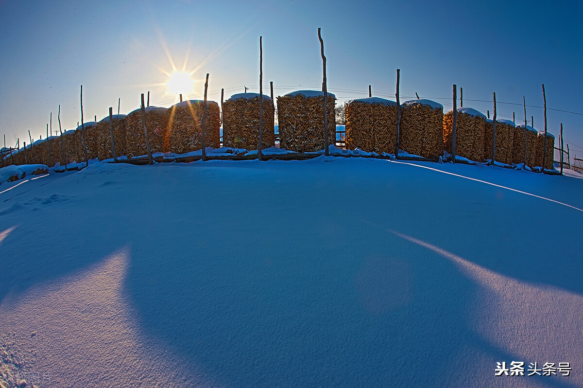 国家为什么要振兴农业,国家为什么发展吉林