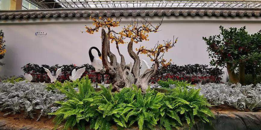 许昌免费赏梅景区有哪些,赏桃花正当时