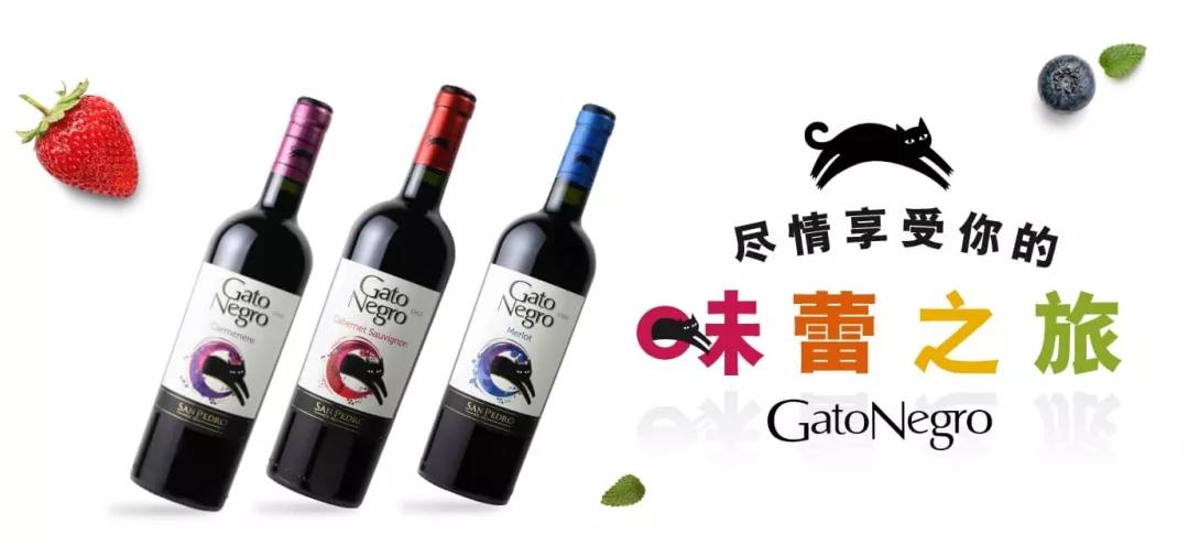 全球No.6葡萄酒品牌-黑猫GatoNegro如何引领葡萄酒时尚风潮?