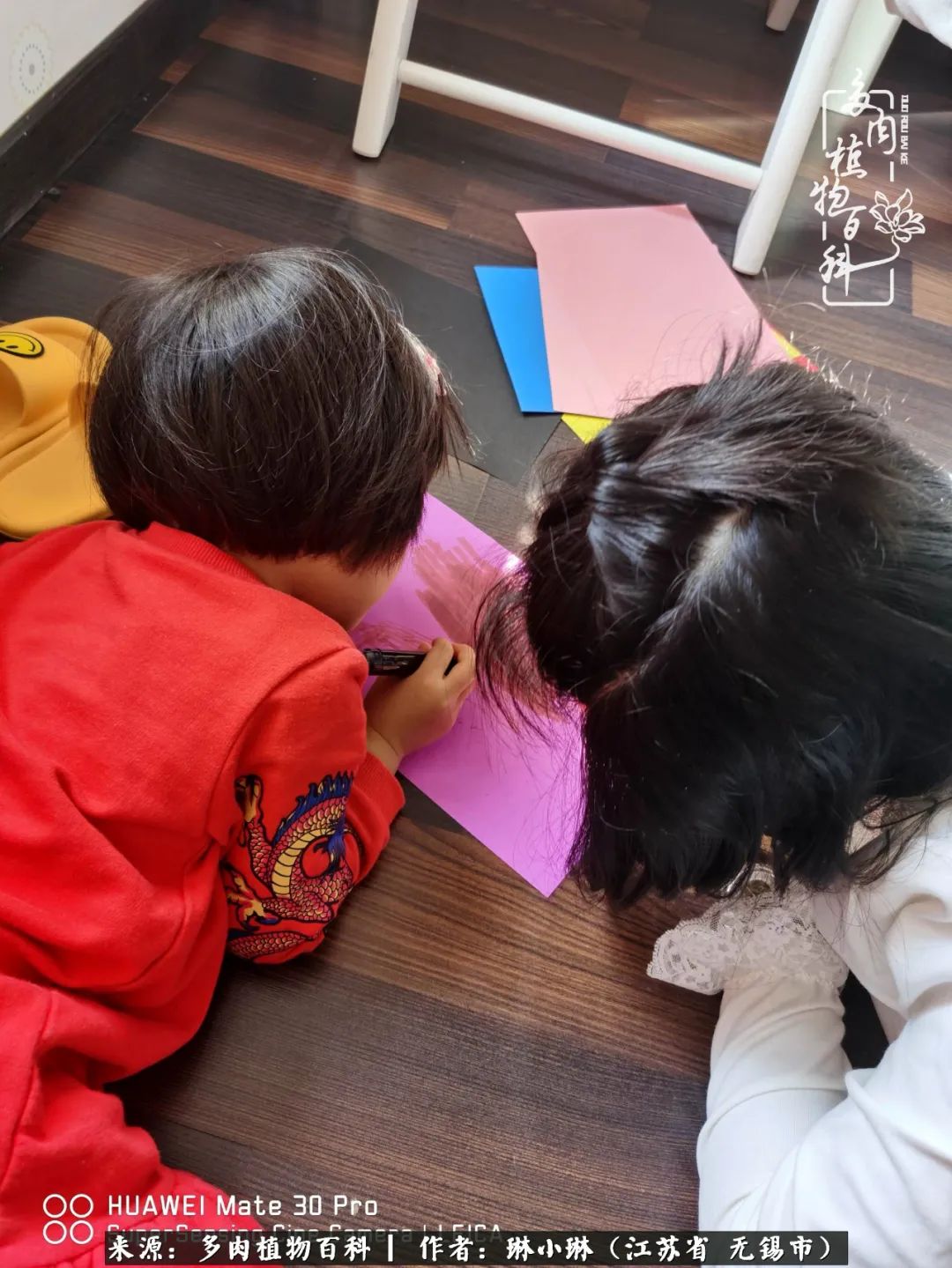 多肉变美是需要时间的,千万别辜负了多肉变美的黄金季节