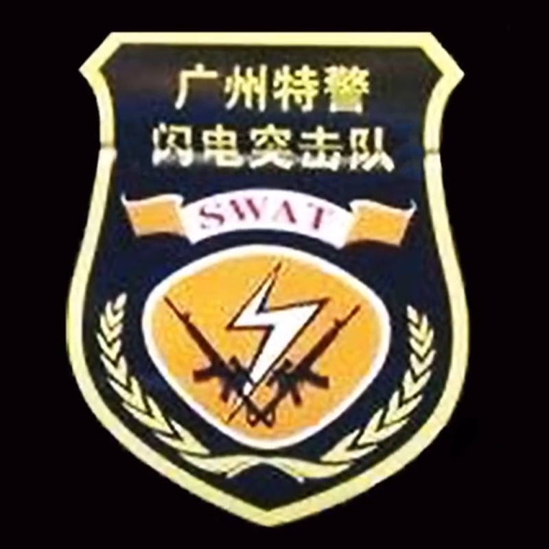 全国各个城市特警队臂章,公安特警帅图