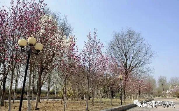 山东协和学院学费,山东协和学院官网校历