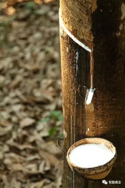 耐磨橡胶轮胎有哪些,耐磨又防噪音的轮胎