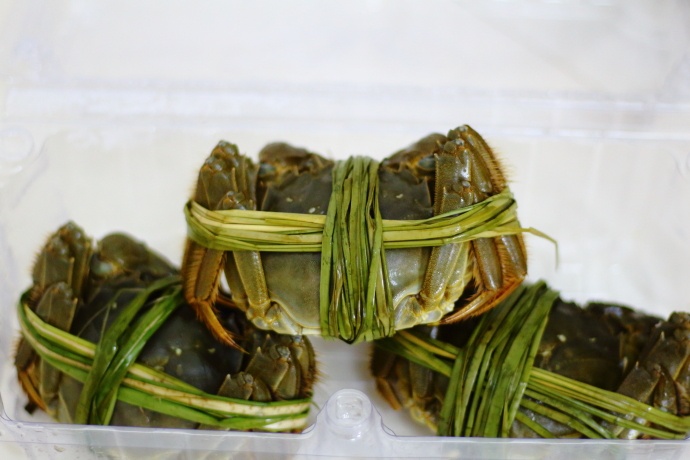 螃蟹什么季节好吃有肉,这个季节吃什么螃蟹能吃到新鲜的