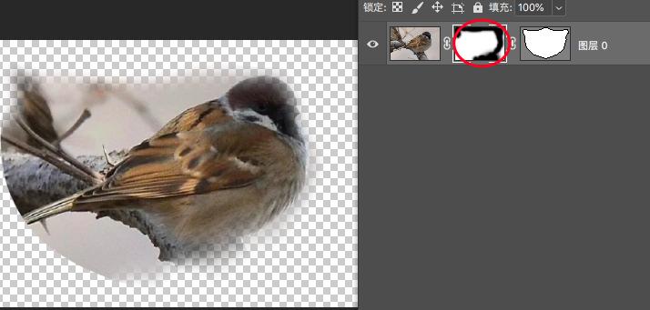 ps各种蒙版使用教程,ps入门学习如何使用蒙版