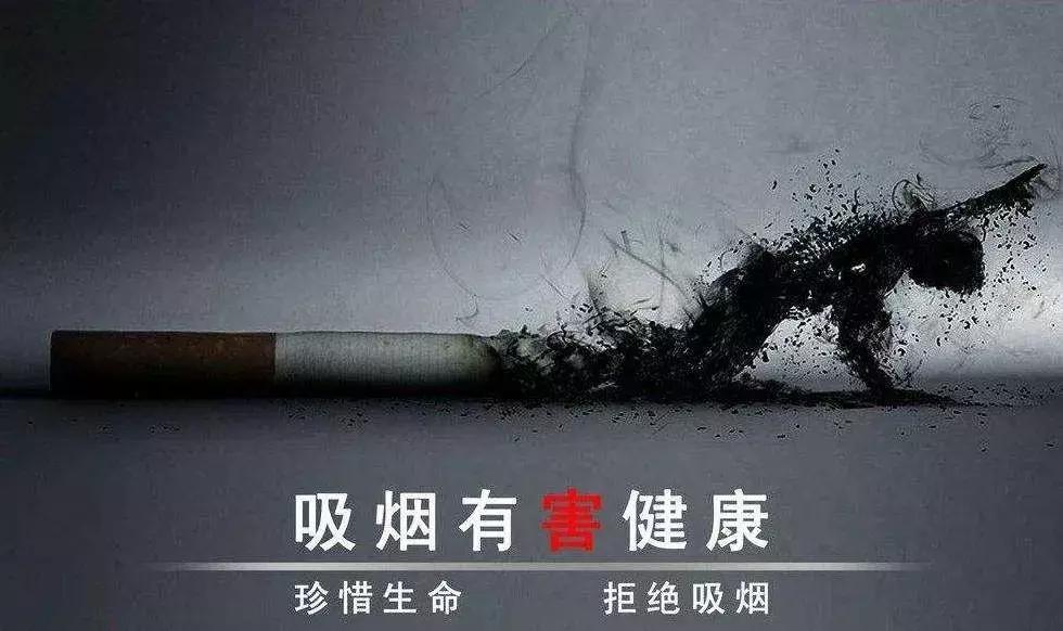 钦州20元左右的烟,什么香烟买不到