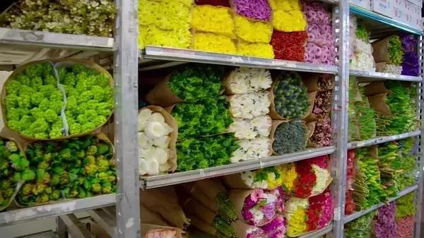 bbc中国探秘纪录片,bbc探秘印尼爪哇古洞