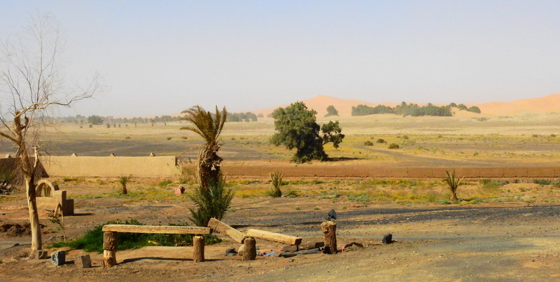 撒哈拉沙尘暴照片,撒哈拉沙漠沙尘暴实拍