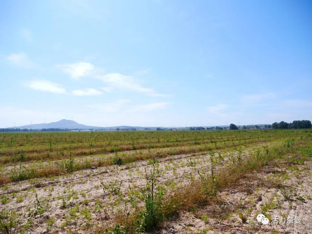 脱贫摘帽巩固提升推进会,扶贫工作中的脱贫和摘帽