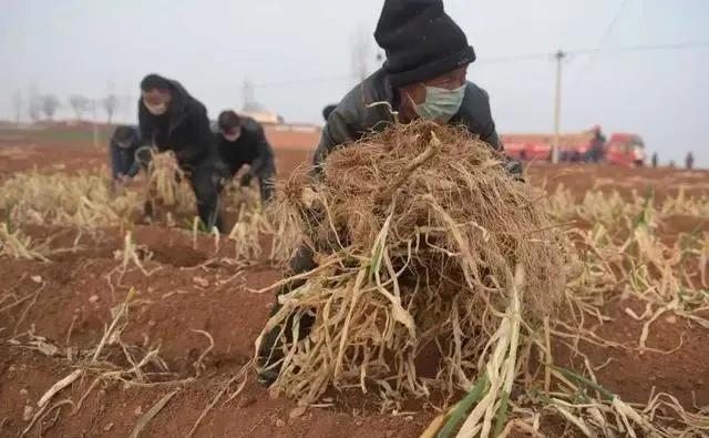 记住这50张面孔，不仅仅因为感动……