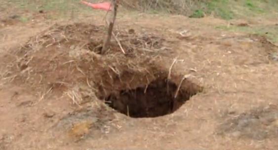 古墓宝藏之谜,墓室之谜完整版