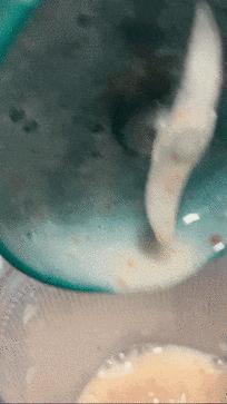 网红爆款摩飞榨汁机,摩飞榨汁杯教程