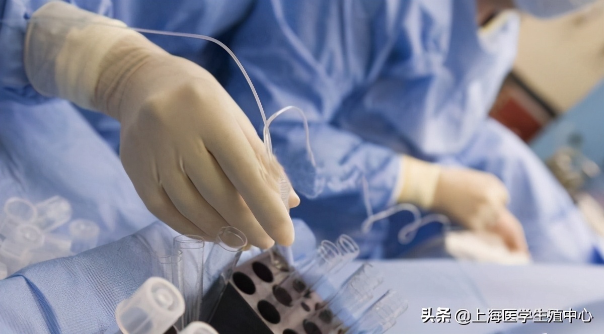 促排卵为什么卵子取的少,促排卵只有一个卵子成功率大么