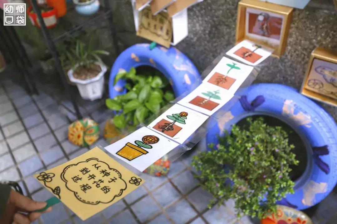 空间小、经费不足、面临*迁拆**，这家幼儿园却给出了满分的环境