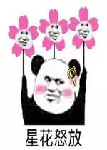 超全泰国旅行攻略｜美食吃到撑，逛街到腿断