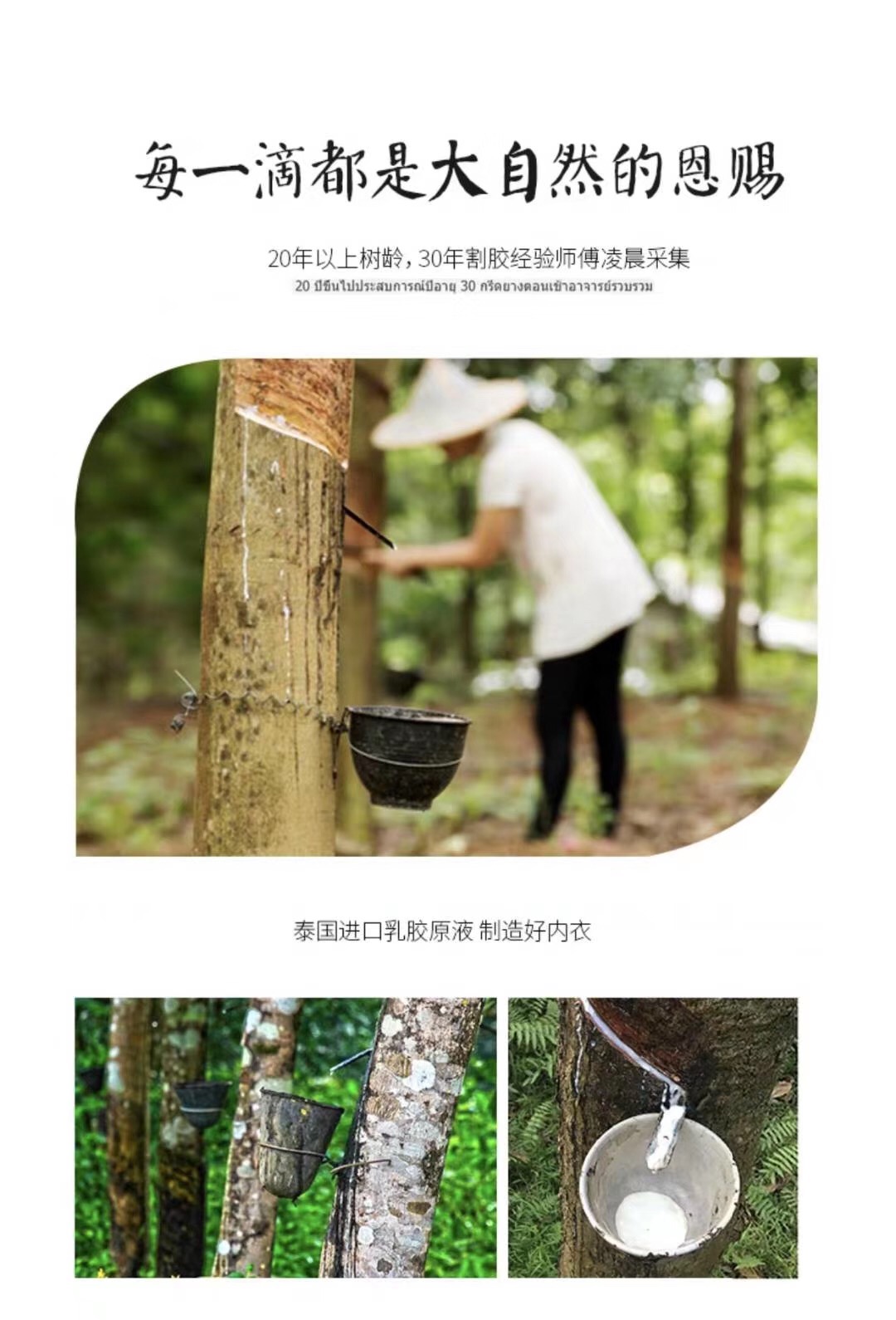 乳胶文胸解说,乳胶文胸注意事项