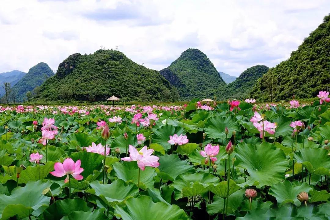 等一个人陪我旅游,等一个人陪我一起跨年