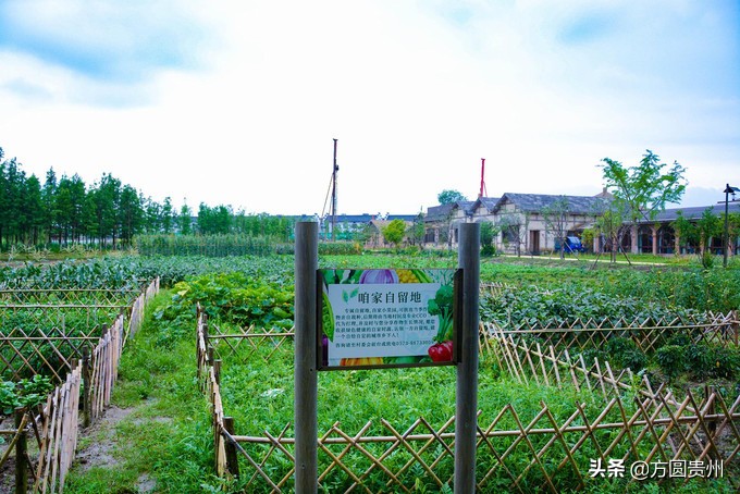 这个夏日，看这个美女如何在浙江乌村的第一百种玩法