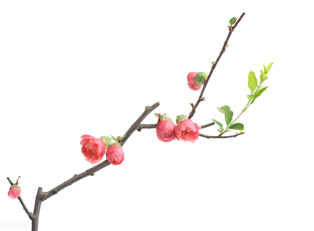 买手机的难处,一件小事带来烦恼