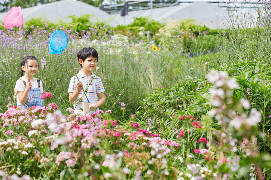吴谢宇坦然面对死亡,吴谢宇扭曲人格的原因