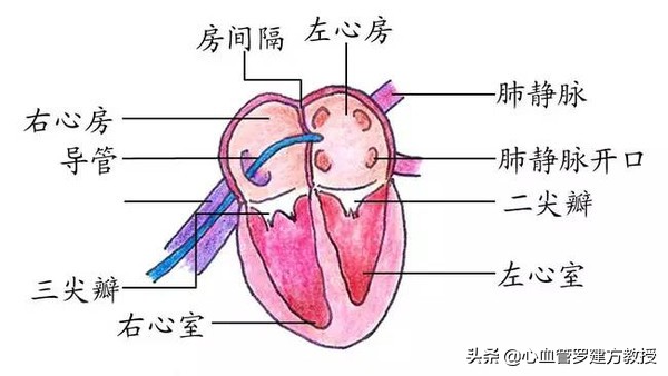 发生心律不齐，怎么样才能恢复正常？#原创首发##青云计划#