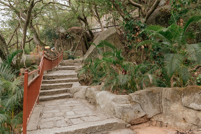 厦门旅游攻略两天两夜详细攻略,厦门旅游攻略一日游详细攻略